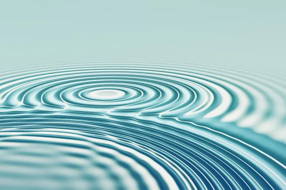 Kazino All In Atbalsts